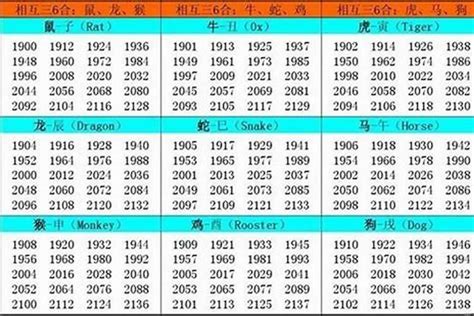 02属什么|2002年出生的属什么,2002年是什么生肖